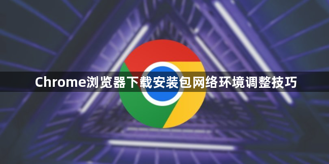 Chrome浏览器下载安装包网络环境调整技巧1