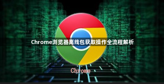 Chrome浏览器离线包获取操作全流程解析1