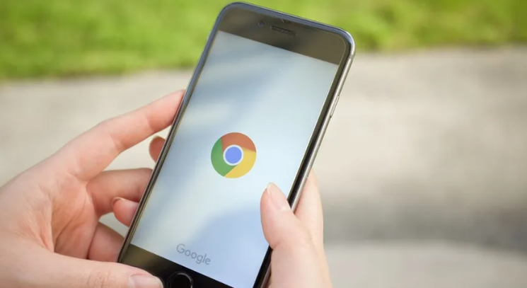 Chrome浏览器下载及插件安装与冲突排查