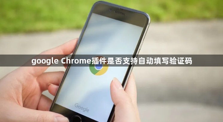google Chrome插件是否支持自动填写验证码1