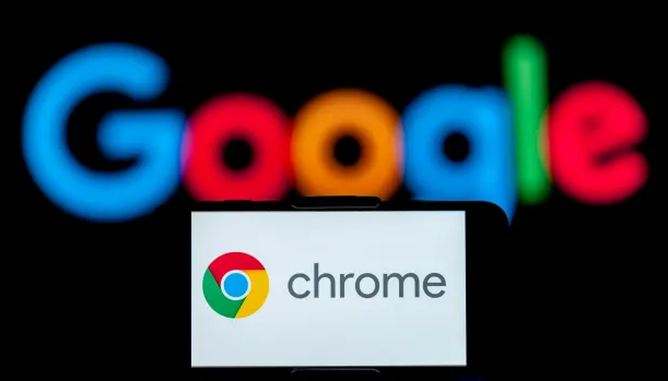 Chrome浏览器离线包下载安装全流程经验分享