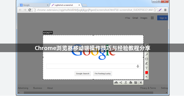 Chrome浏览器移动端操作技巧与经验教程分享1