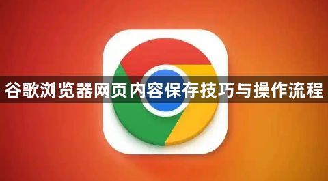 谷歌浏览器网页内容保存技巧与操作流程1
