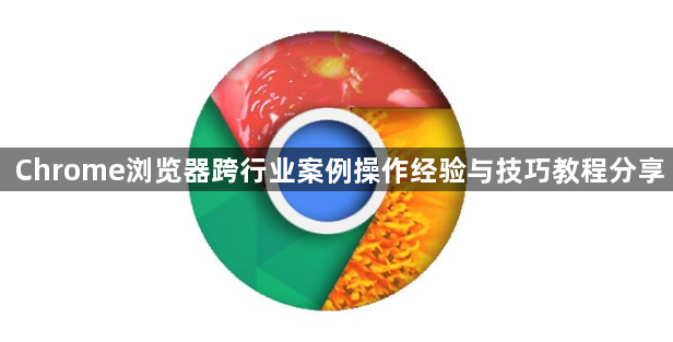 Chrome浏览器跨行业案例操作经验与技巧教程分享1