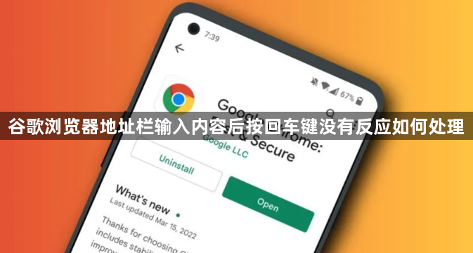 谷歌浏览器地址栏输入内容后按回车键没有反应如何处理1