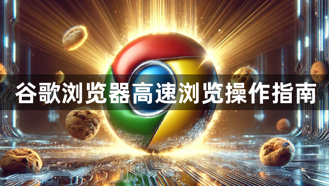谷歌浏览器高速浏览操作指南1