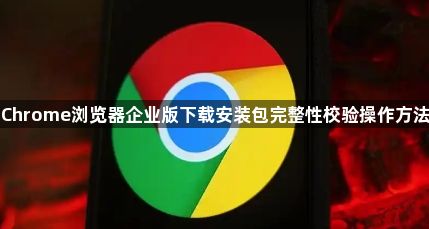 Chrome浏览器企业版下载安装包完整性校验操作方法1
