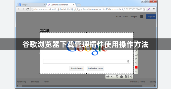 谷歌浏览器下载管理插件使用操作方法1